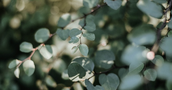 Sports and Activity-Related Injuries